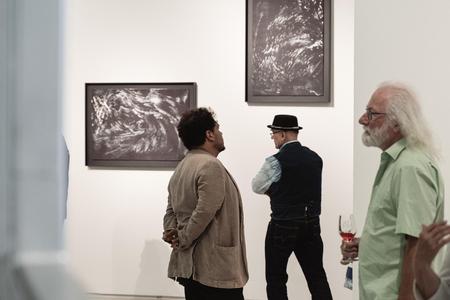 Landesgalerie Eroeffnung Eva Schlegel