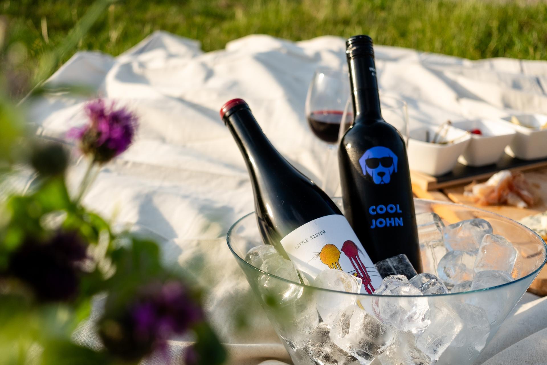 Wein im Eiskübel beim Picknick