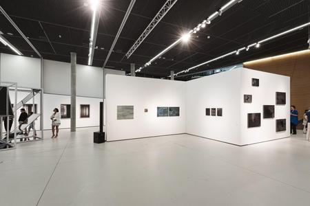 Landesgalerie Eroeffnung Eva Schlegel