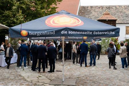 Rot-Goldene-Traube