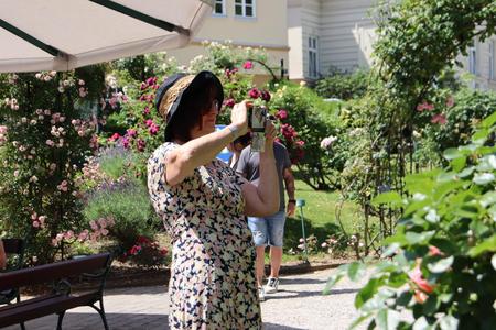 Rosenfest Bad Sauerbrunn 2025
