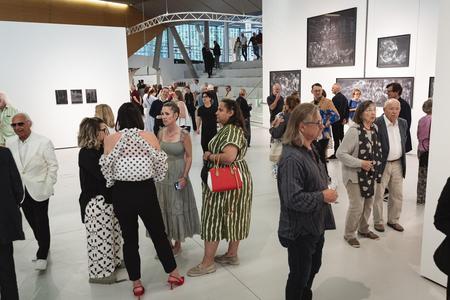 Landesgalerie Eroeffnung Eva Schlegel