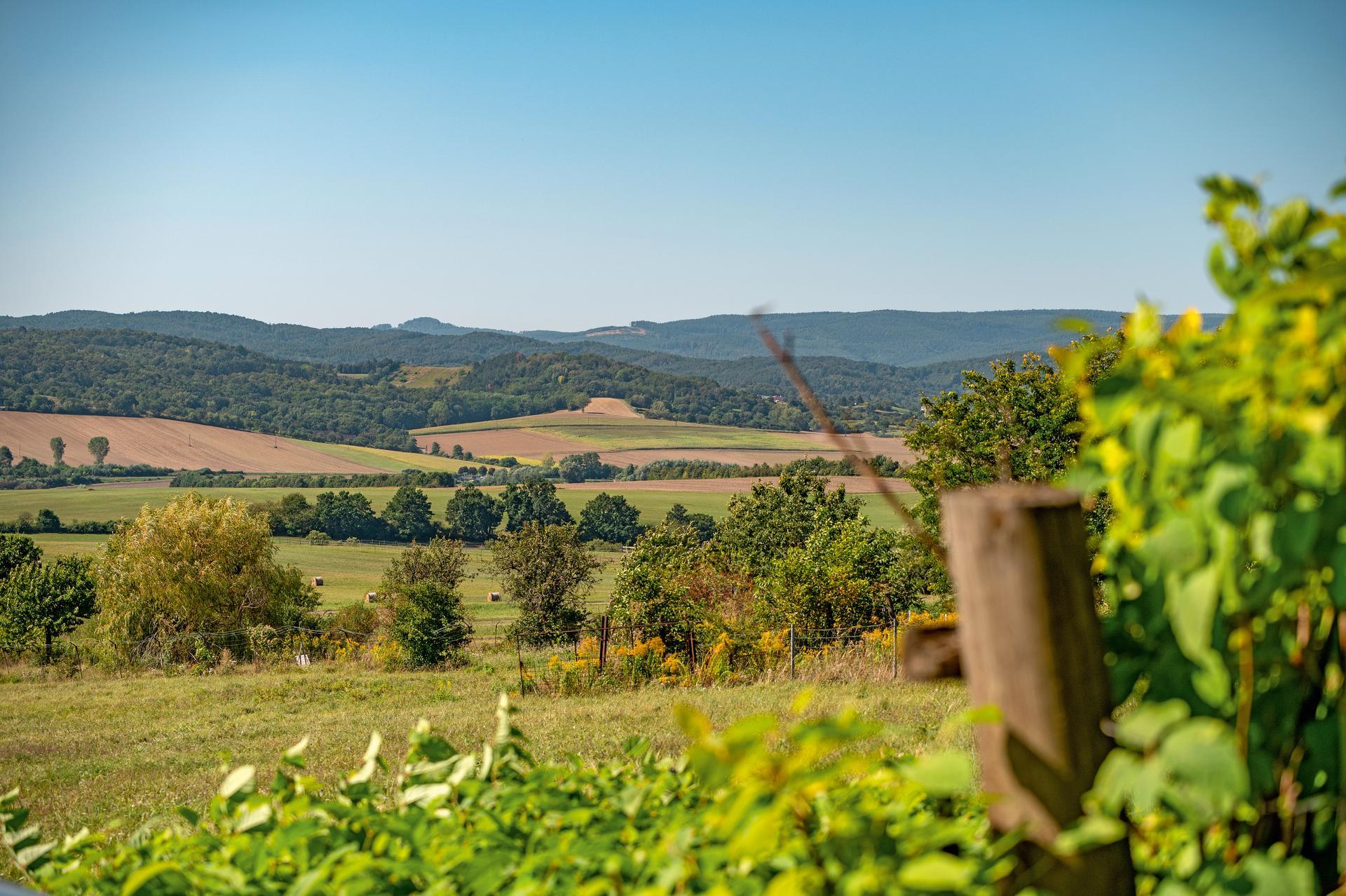 Ausblick auf Weingärten und Streuobstwiesen im Burgenland