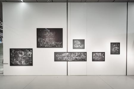 Landesgalerie Eroeffnung Eva Schlegel