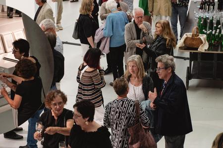 Landesgalerie Eroeffnung Eva Schlegel