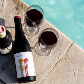 Wein am Pool der St. Antoni Suite 
