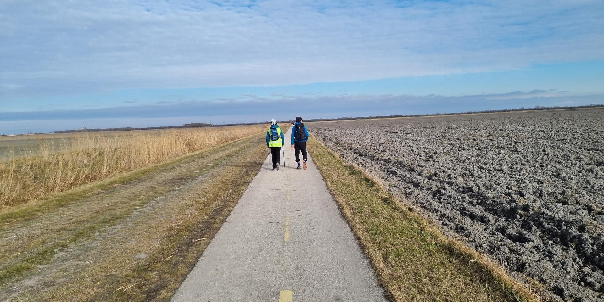 Rund 4.000 Extremwanderer und Hobbysportler zogen bei der Burgenland-Extrem-Tour 2025 wieder um den Neusiedler See.