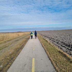 Rund 4.000 Extremwanderer und Hobbysportler zogen bei der Burgenland-Extrem-Tour 2025 wieder um den Neusiedler See. 