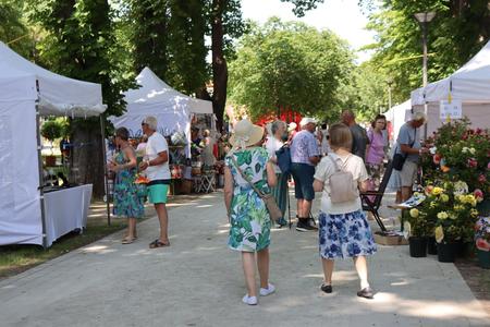 Rosenfest Bad Sauerbrunn 2025