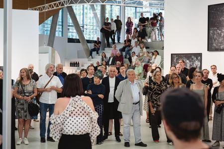 Landesgalerie Eroeffnung Eva Schlegel