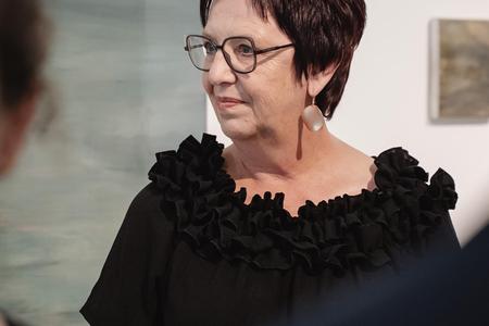 Landesgalerie Eroeffnung Eva Schlegel