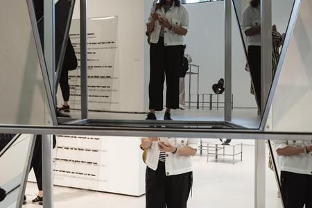 Landesgalerie Eroeffnung Eva Schlegel