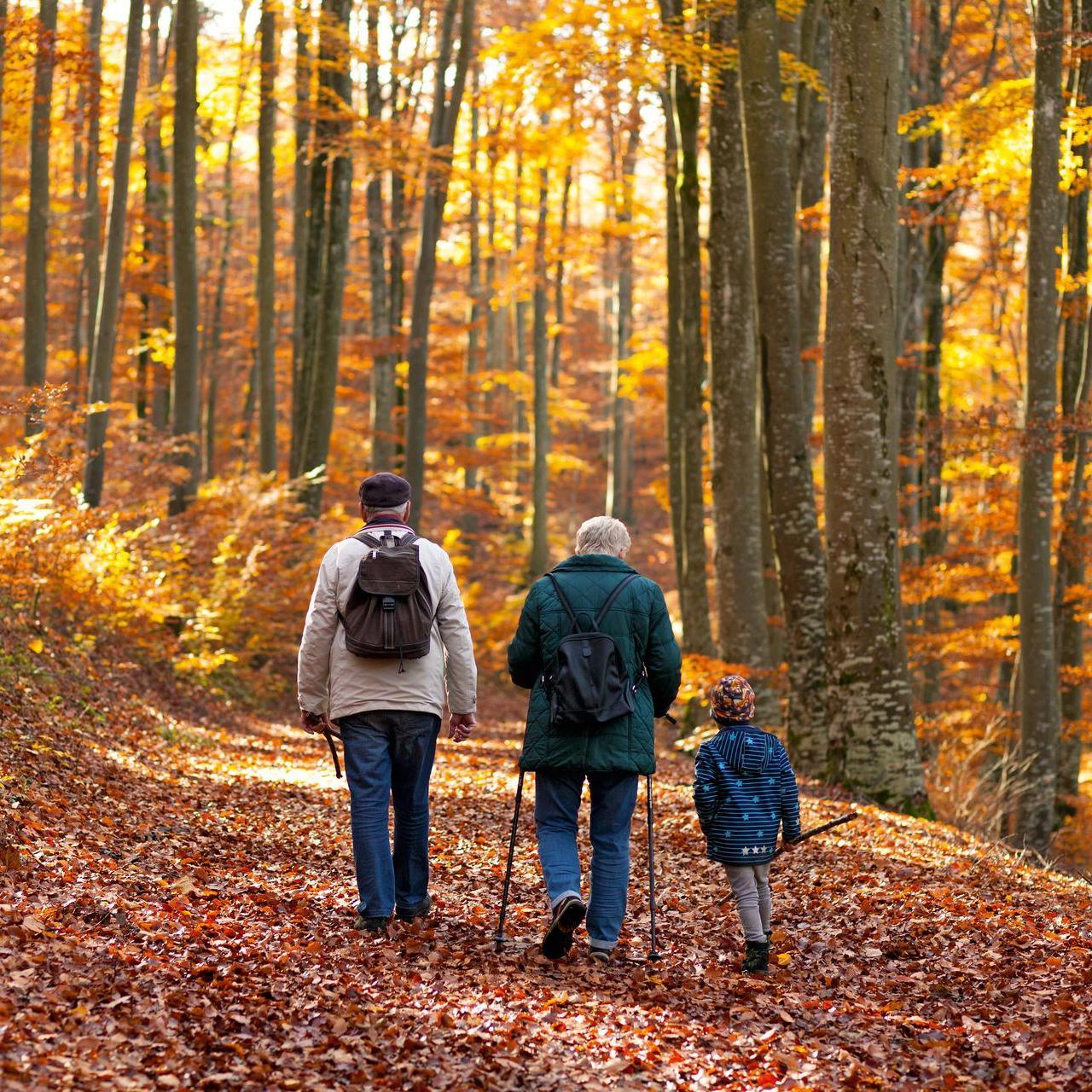 Familien beim Waldspaziergang
