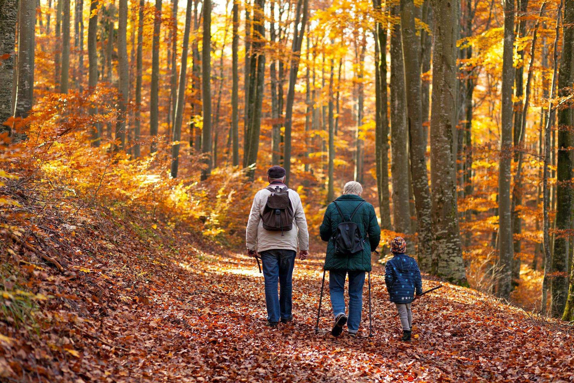 Familien beim Waldspaziergang
