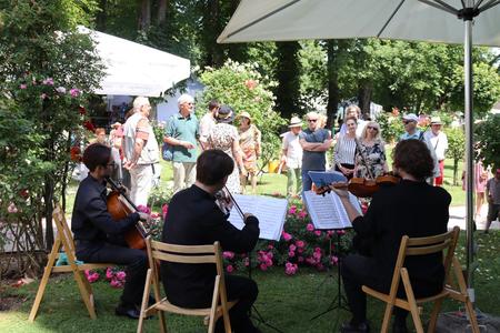 Rosenfest Bad Sauerbrunn 2025