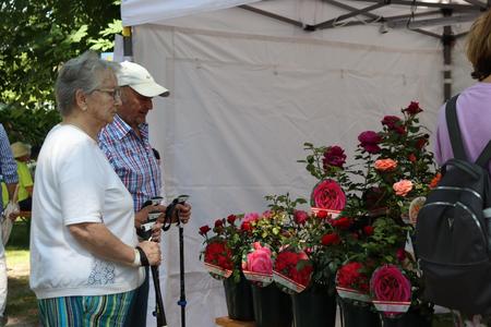 Rosenfest Bad Sauerbrunn 2025