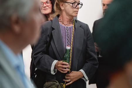 Landesgalerie Eroeffnung Eva Schlegel