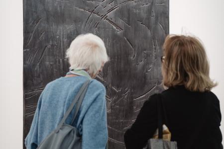 Landesgalerie Eroeffnung Eva Schlegel