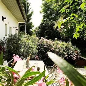 Picknicktisch im pannonischen Garten nahe Neusiedler See 