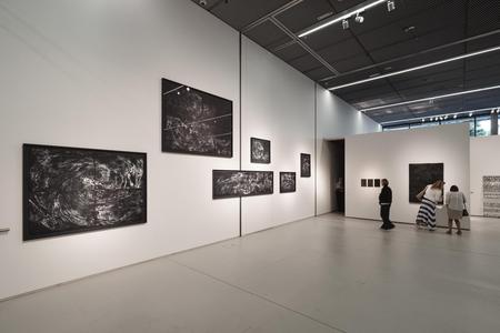 Landesgalerie Eroeffnung Eva Schlegel