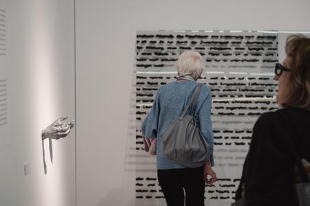 Landesgalerie Eroeffnung Eva Schlegel