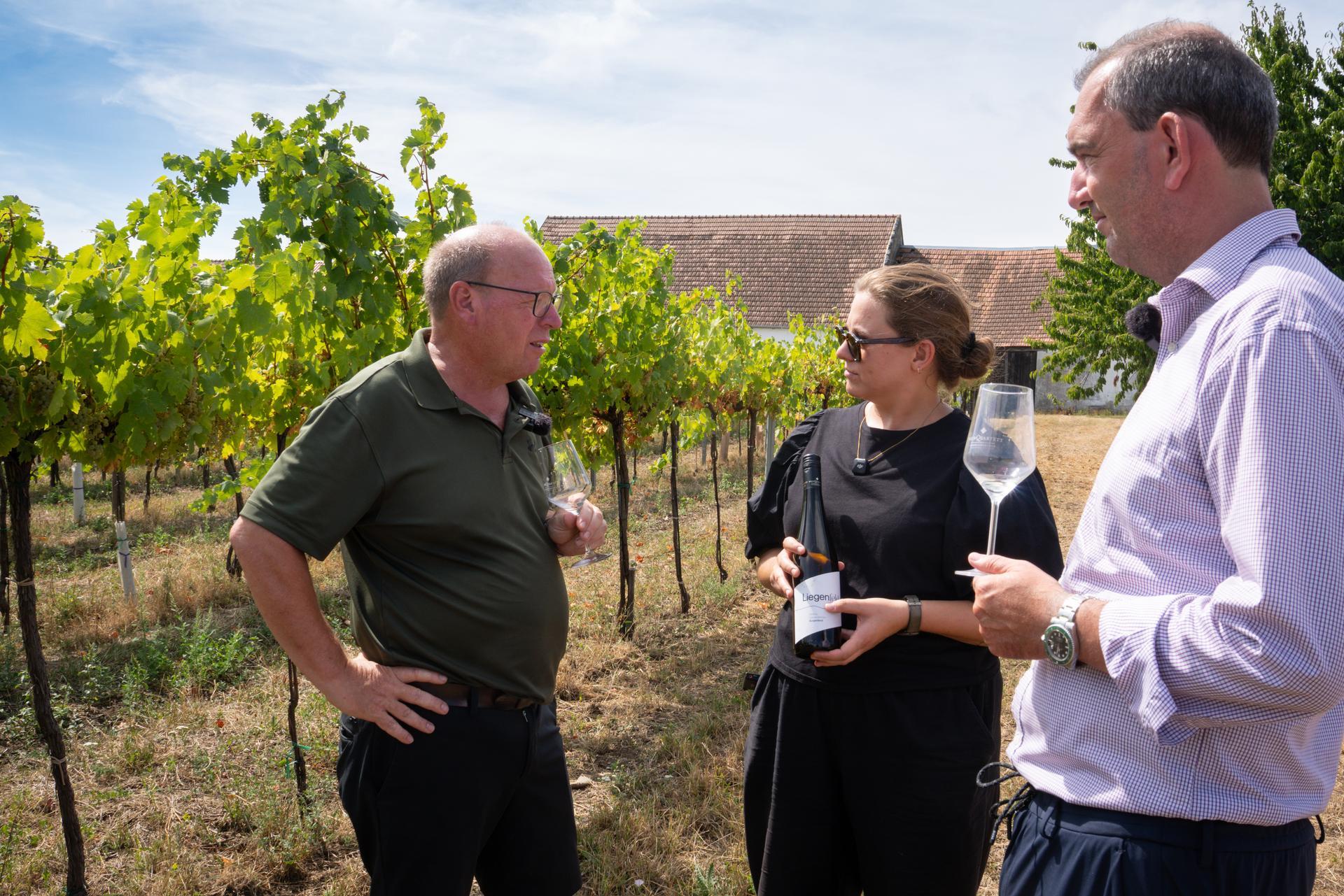 Mein Burgenland im Weingarten - Experteninterview