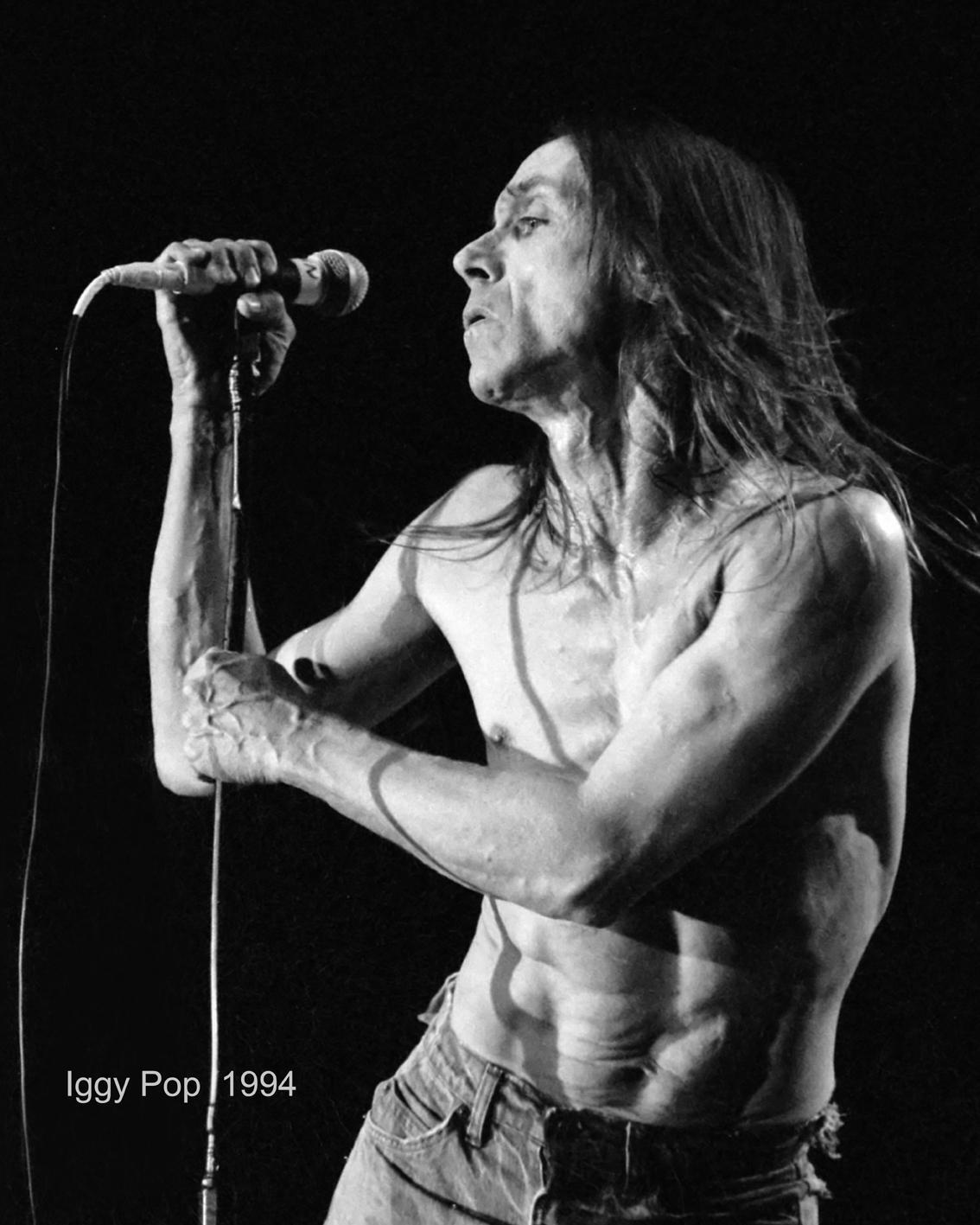 Iggy Pop Auftritt 1994
